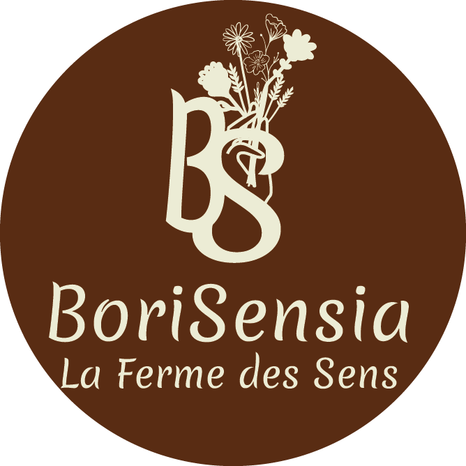 logo de Borisensia